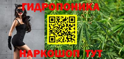 спиды Можга