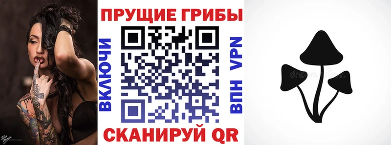 Псилоцибиновые грибы Psilocybine cubensis  Купить закладки  Прокопьевск 