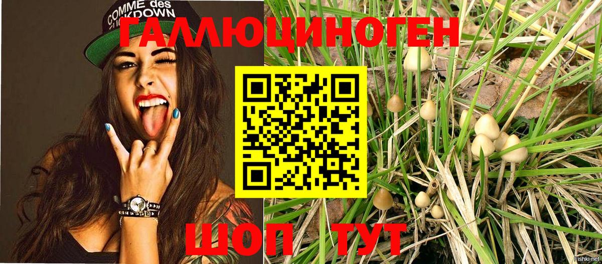 Галлюциногенные грибы Cubensis  Прокопьевск 