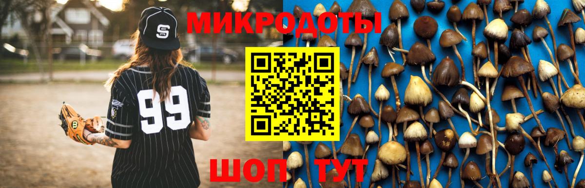 купить наркотик  Вход с VPN  Прокопьевск  Галлюциногенные грибы мицелий 